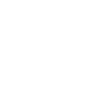 framework-logo-white-cjis